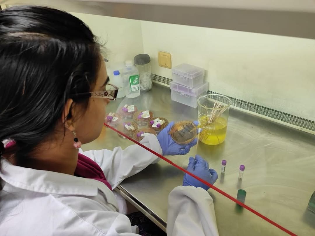 CHRF has preserved many years’ worth of Salmonella Typhi — the notorious bacteria that causes ty