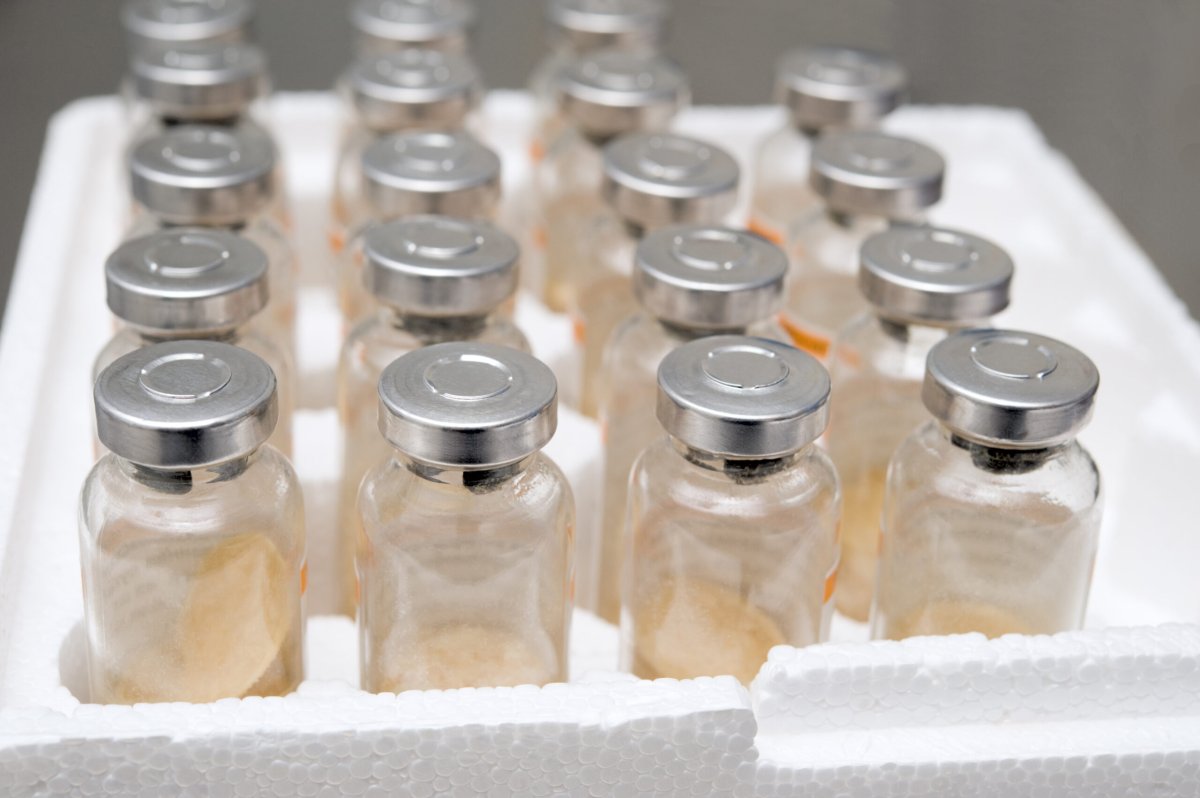 Are US booster shots sapping the world’s vaccine supply? (Popular Science)