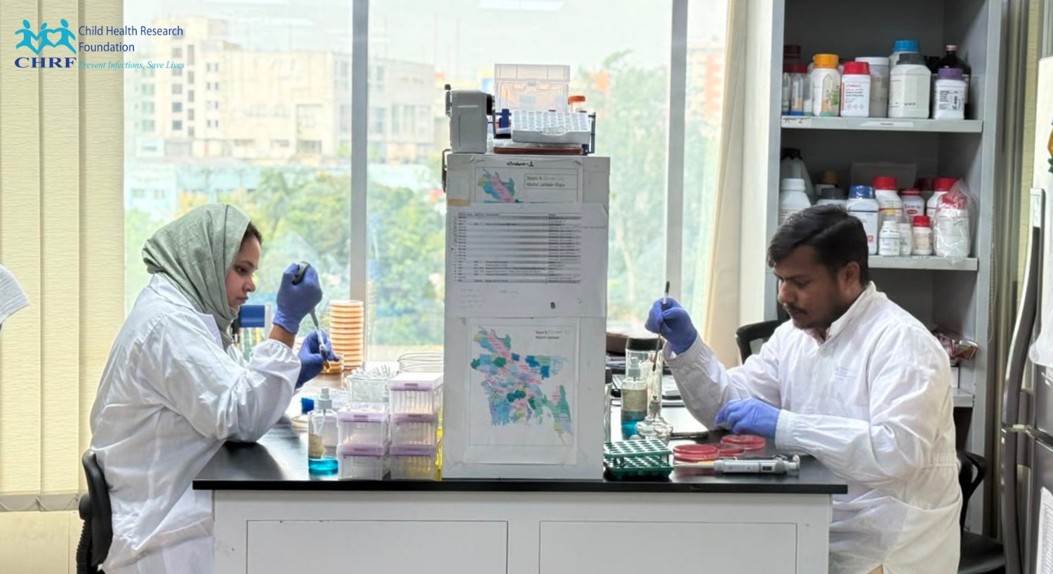 Here, two researchers sit across from each other, a shelf between them and a shared curiosity ab